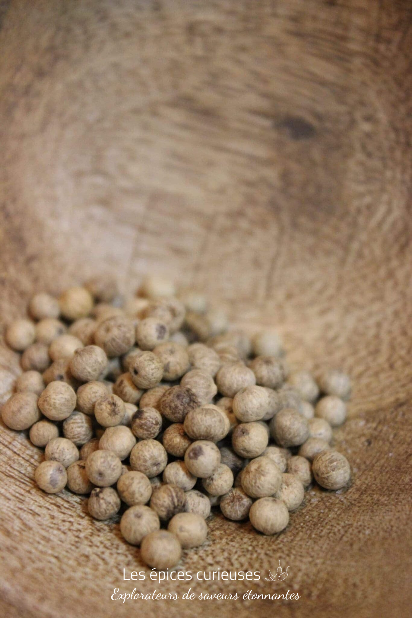 Poivre Kampot Blanc – PP – Les épices curieuses Poivre Kampot Blanc - PP - Les épices curieuses