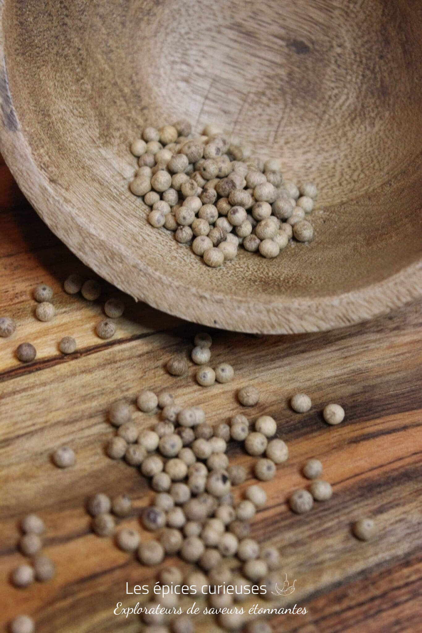 Poivre Kampot Blanc – PP – Les épices curieuses Poivre Kampot Blanc - PP - Les épices curieuses