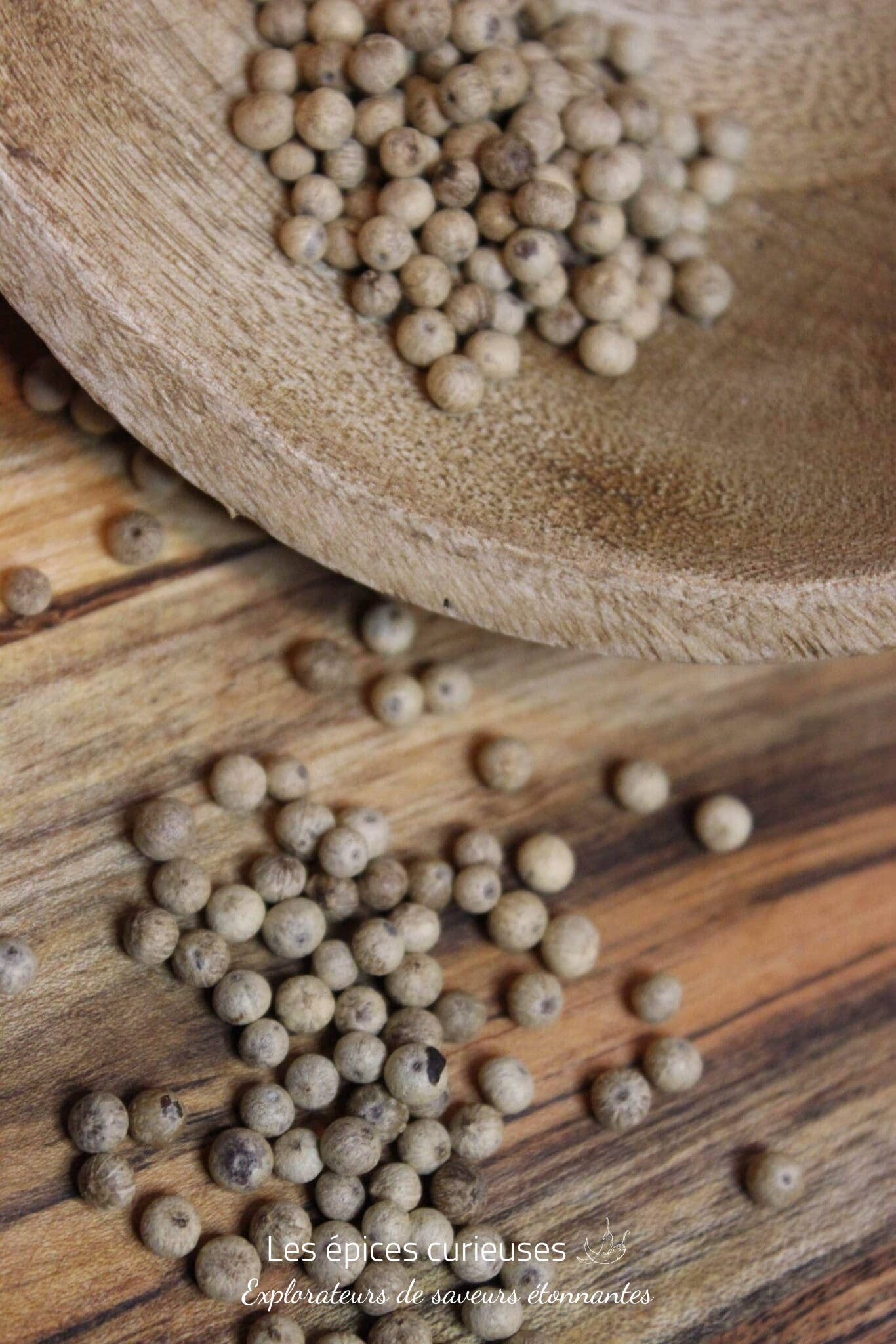 Poivre Kampot Blanc – PP – Les épices curieuses Poivre Kampot Blanc - PP - Les épices curieuses
