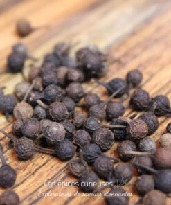 Poivre à queue Cubèbe - Les épices curieuses
