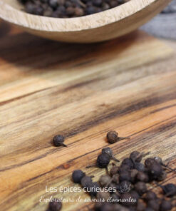 Poivre à queue Cubèbe - Les épices curieuses