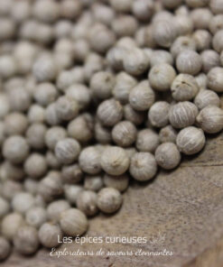 Poivre blanc Antalaha