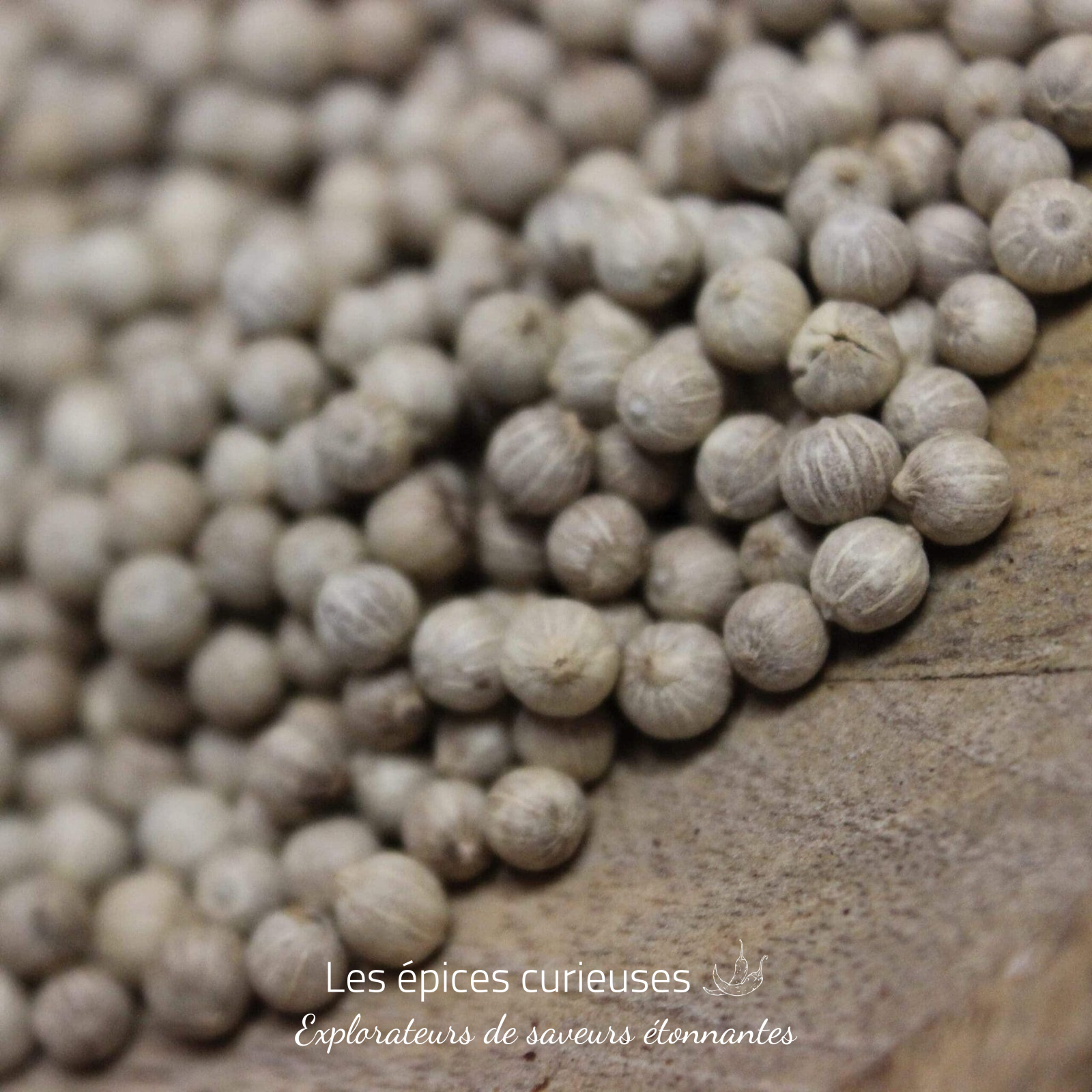 Poivre blanc Antalaha Poivre blanc Antalaha