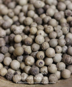Poivre blanc Muntok - Les épices curieuses