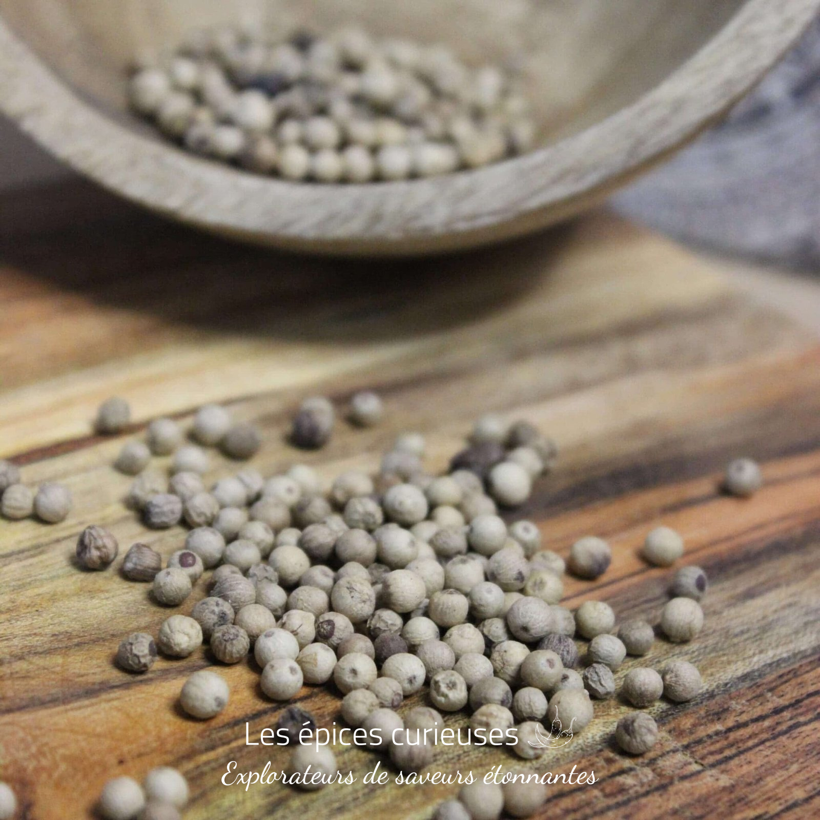 Poivre blanc Muntok – Les épices curieuses Poivre blanc Muntok - Les épices curieuses