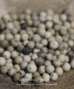 Poivre blanc Muntok - Les épices curieuses