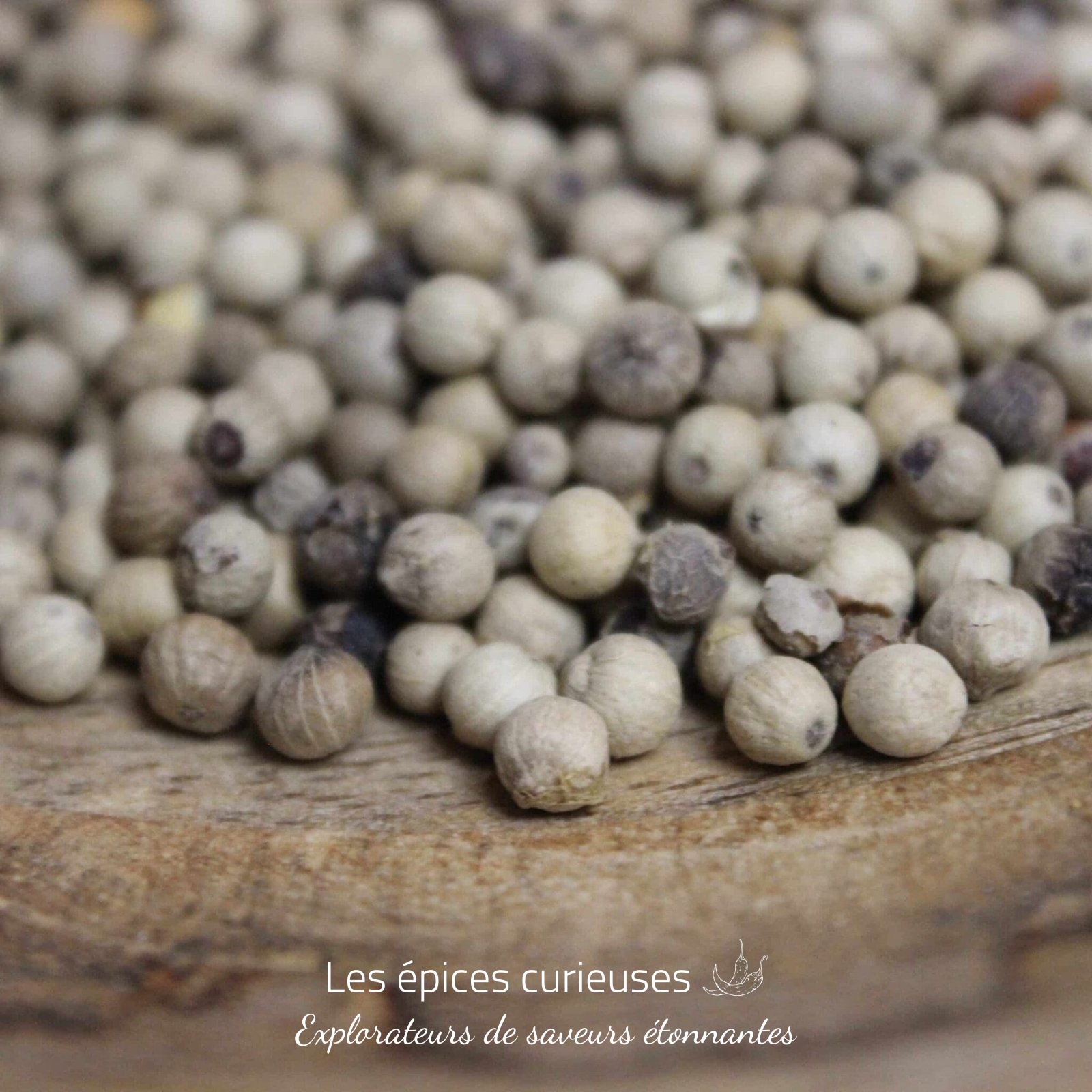 Poivre de Sarawak blanc Poivre de Sarawak blanc