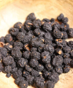 Poivre de Tasmanie - Les épices curieuses