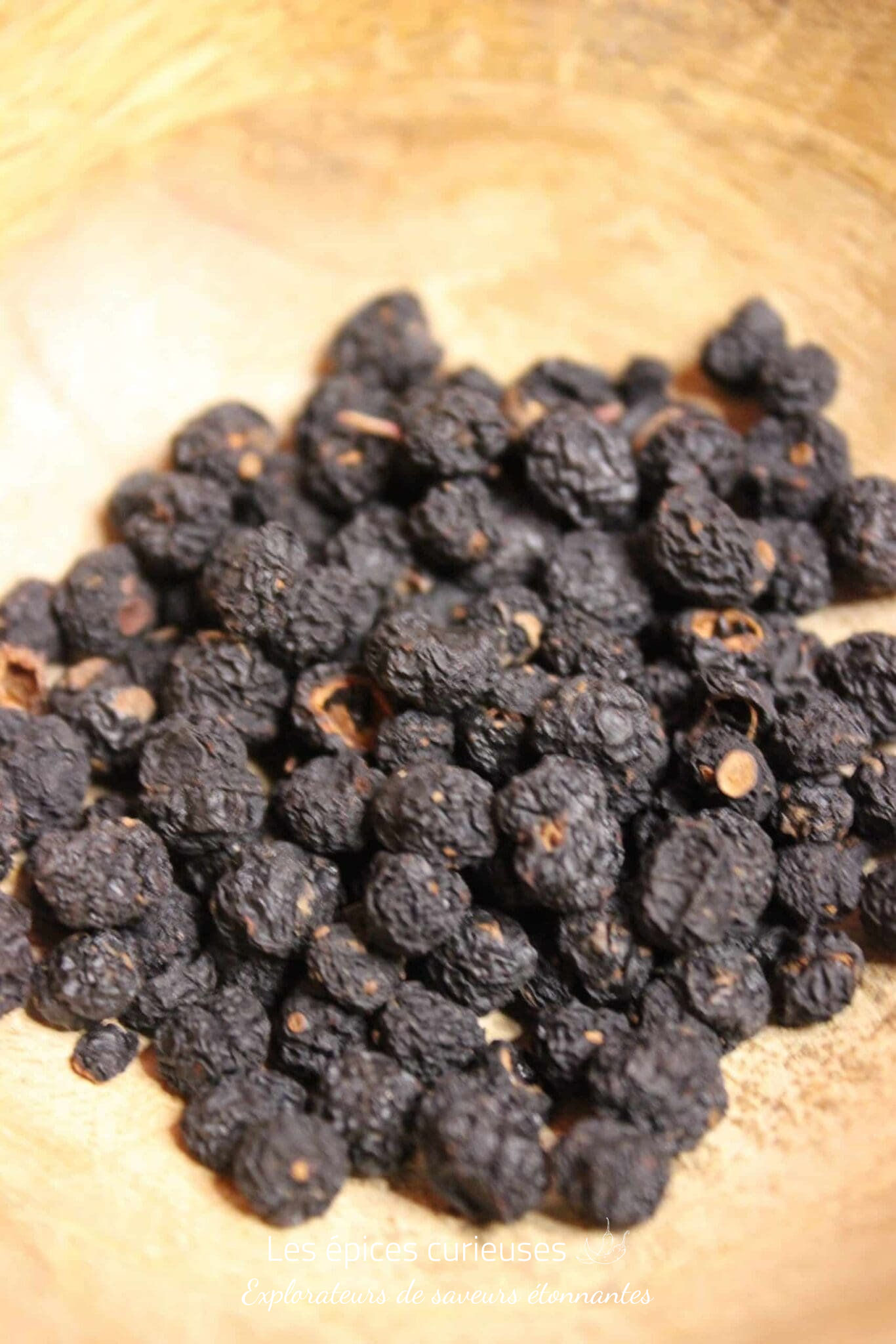 Poivre de Tasmanie – Les épices curieuses Poivre de Tasmanie - Les épices curieuses