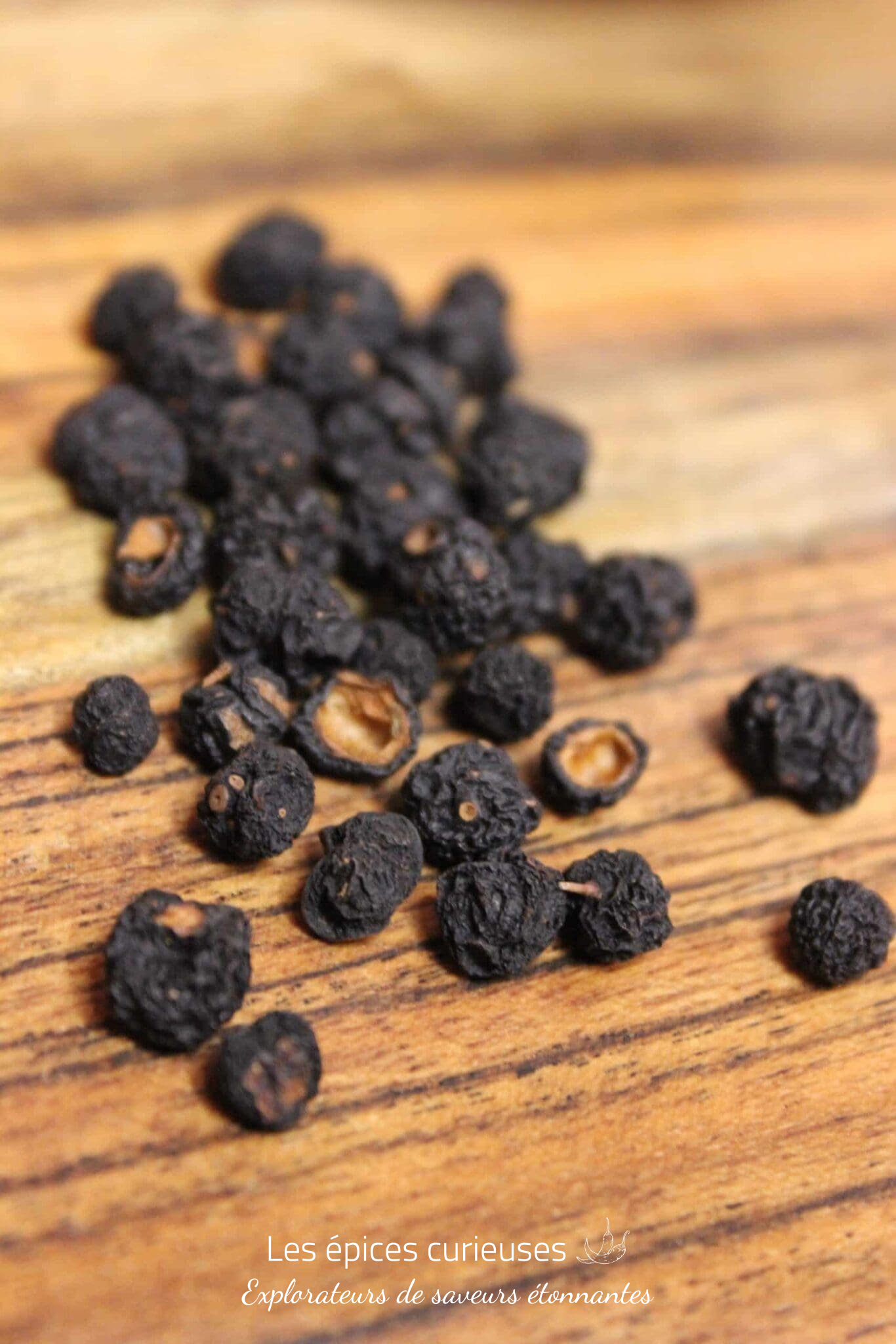 Poivre de Tasmanie – Australie – Les épices curieuses Poivre de Tasmanie - Australie - Les épices curieuses