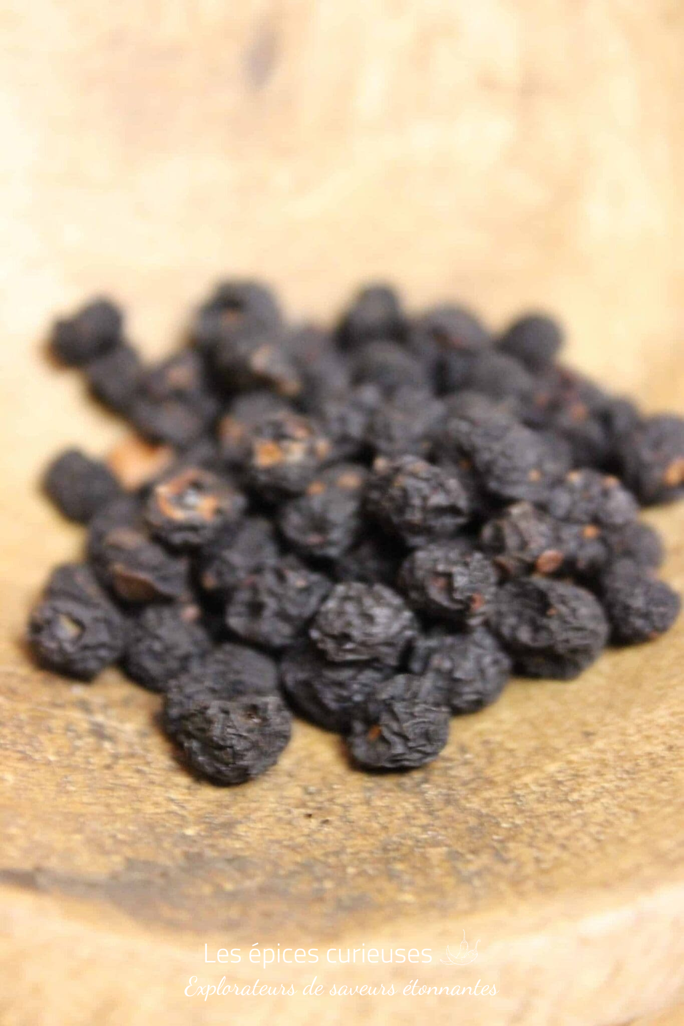 Poivre de Tasmanie – Les épices curieuses Poivre de Tasmanie - Les épices curieuses