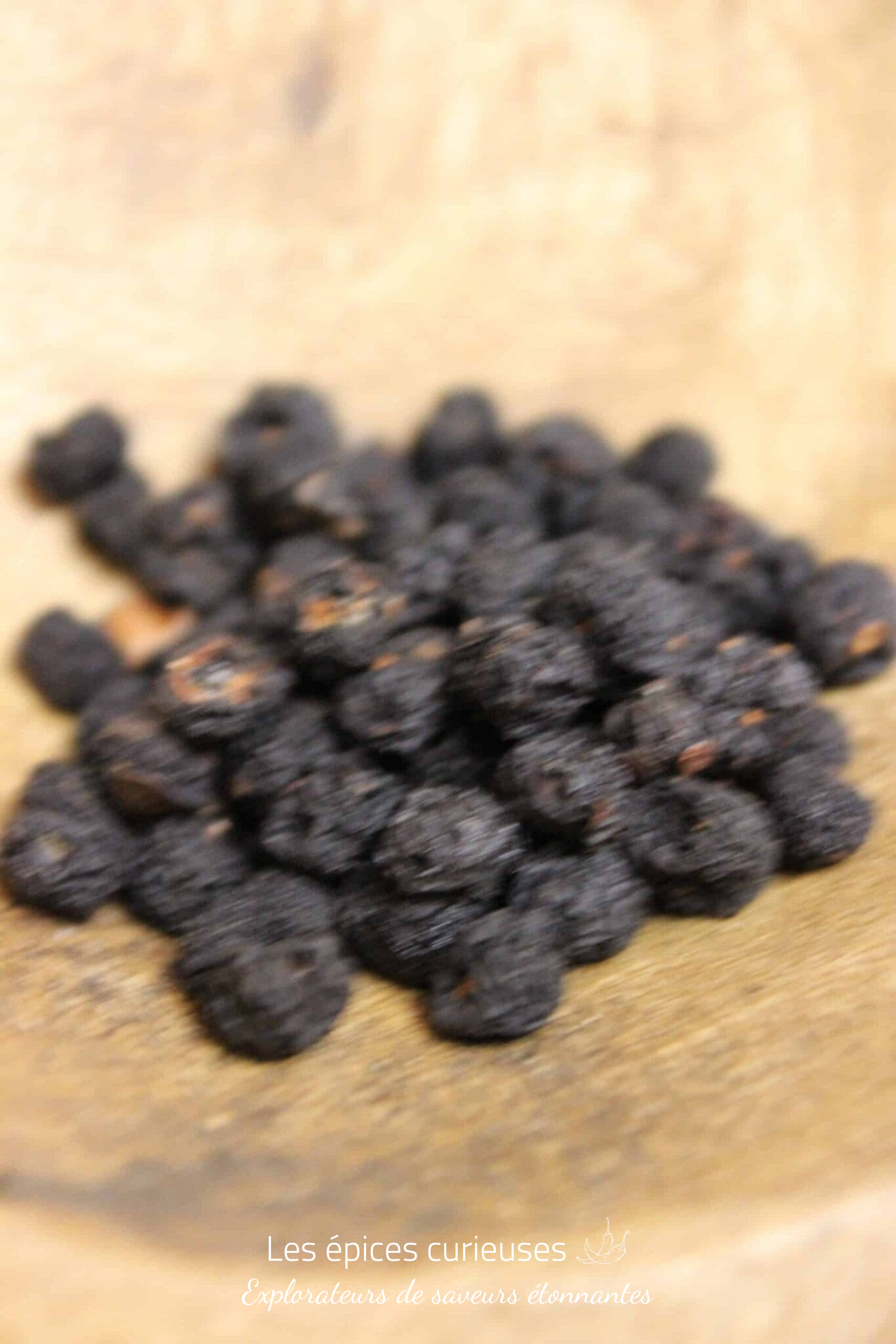 Poivre de Tasmanie – Les épices curieuses Poivre de Tasmanie - Les épices curieuses