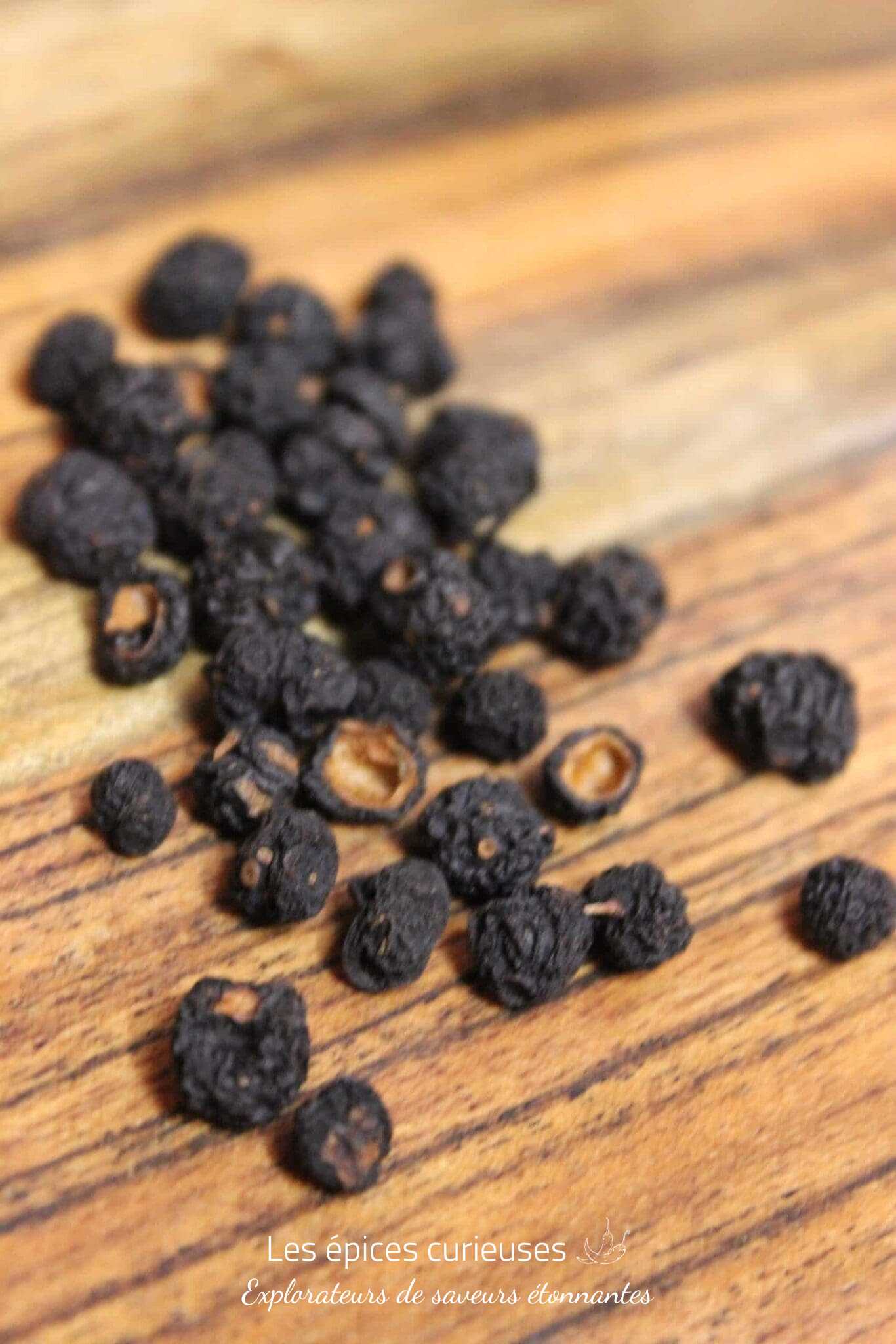 Poivre de Tasmanie – Les épices curieuses Poivre de Tasmanie - Les épices curieuses