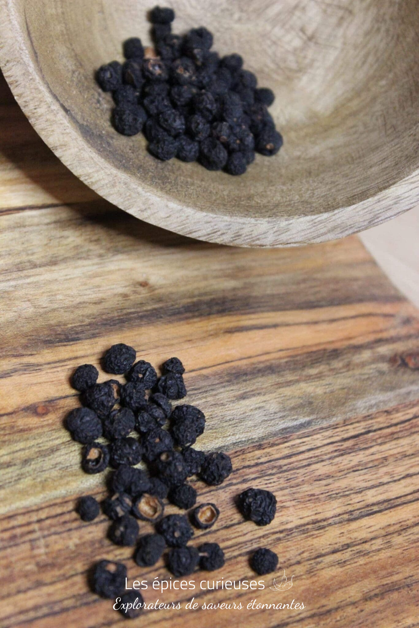 Poivre de Tasmanie – Les épices curieuses Poivre de Tasmanie - Les épices curieuses