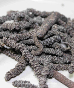 Poivre long de Java séché en gros plan, utilisé comme épice aromatique en cuisine internationale.
