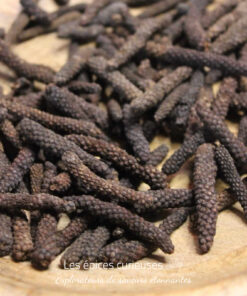 Poivre long des Indes - Les épices curieuses