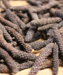 Poivre long des Indes
