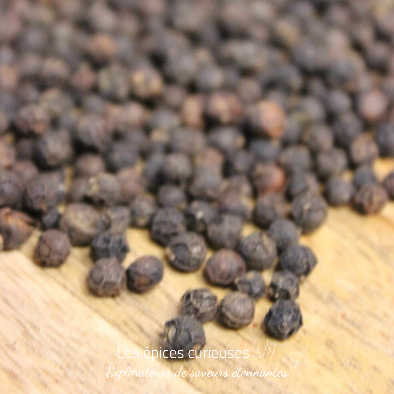 Poivre noir de Penja Poivre noir de Penja