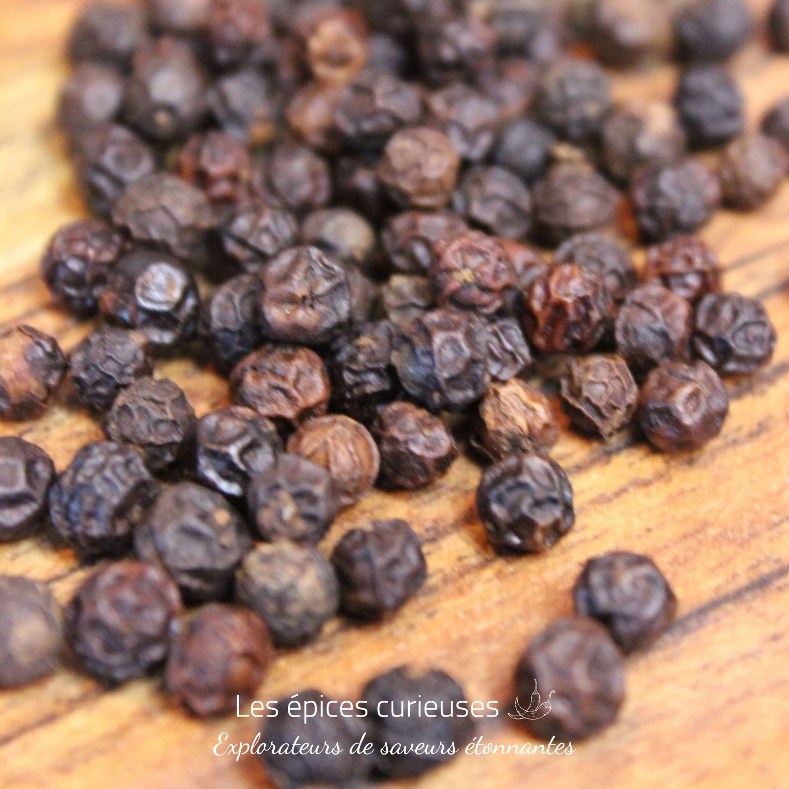 Poivre noir de Phu Quoc – 20G – Les épices curieuses Poivre noir de Phu Quoc - 20G - Les épices curieuses