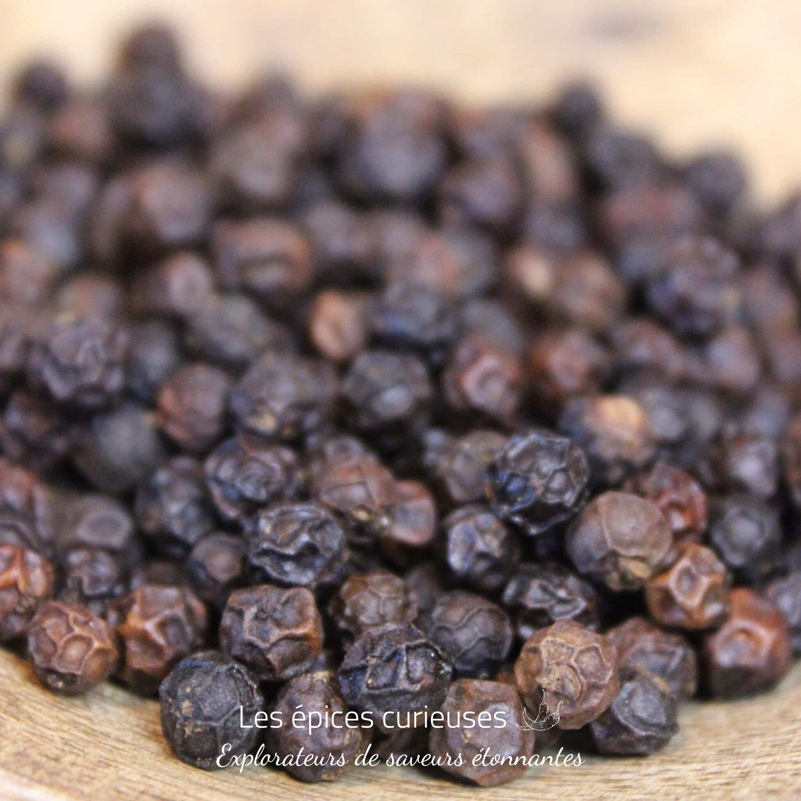 Poivre noir de Phu Quoc – Les épices curieuses Poivre noir de Phu Quoc - Les épices curieuses