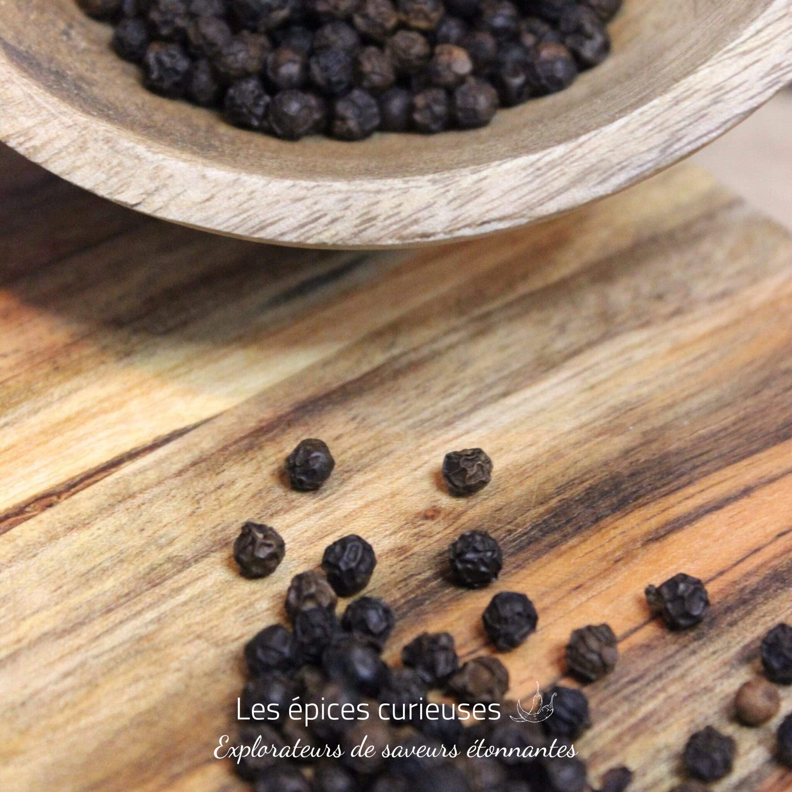 Poivre noir du Kerala – Les épices curieuses Poivre noir du Kerala - Les épices curieuses