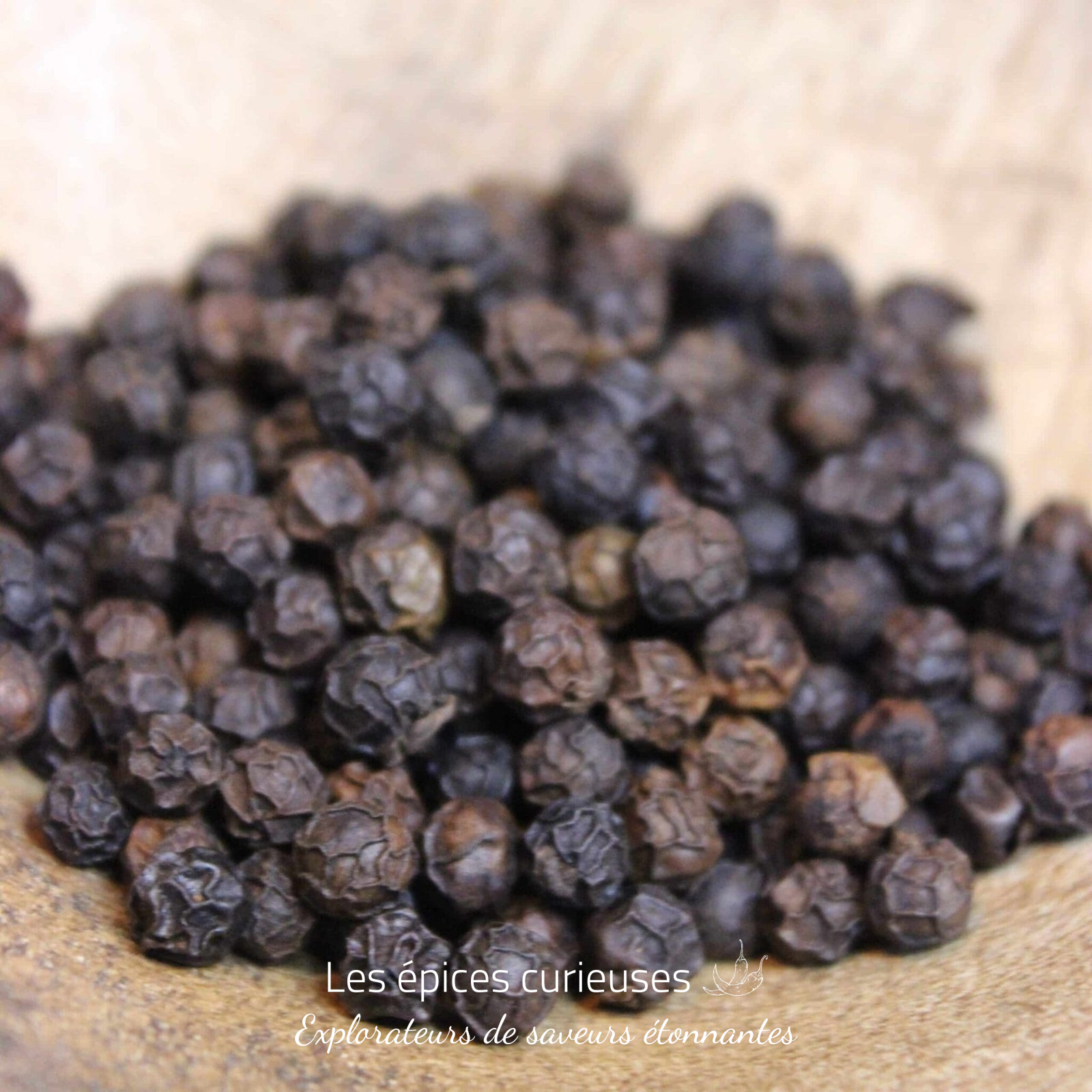 Poivre noir du Kerala – Les épices curieuses Poivre noir du Kerala - Les épices curieuses
