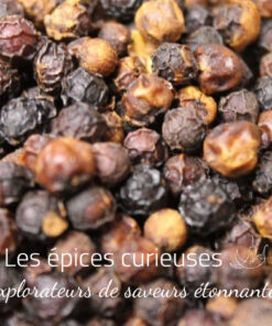 Poivre rouge de Bahia - Brésil - Les épices curieuses