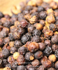 Poivre rouge de bahia - Les épices curieuses