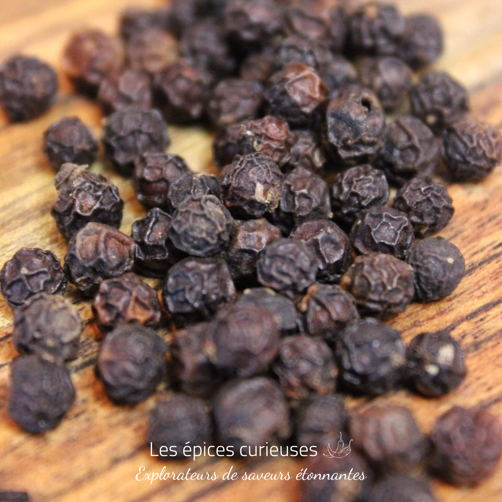 Poivre rouge des Bolovens – Les épices curieuses Poivre rouge des Bolovens - Les épices curieuses