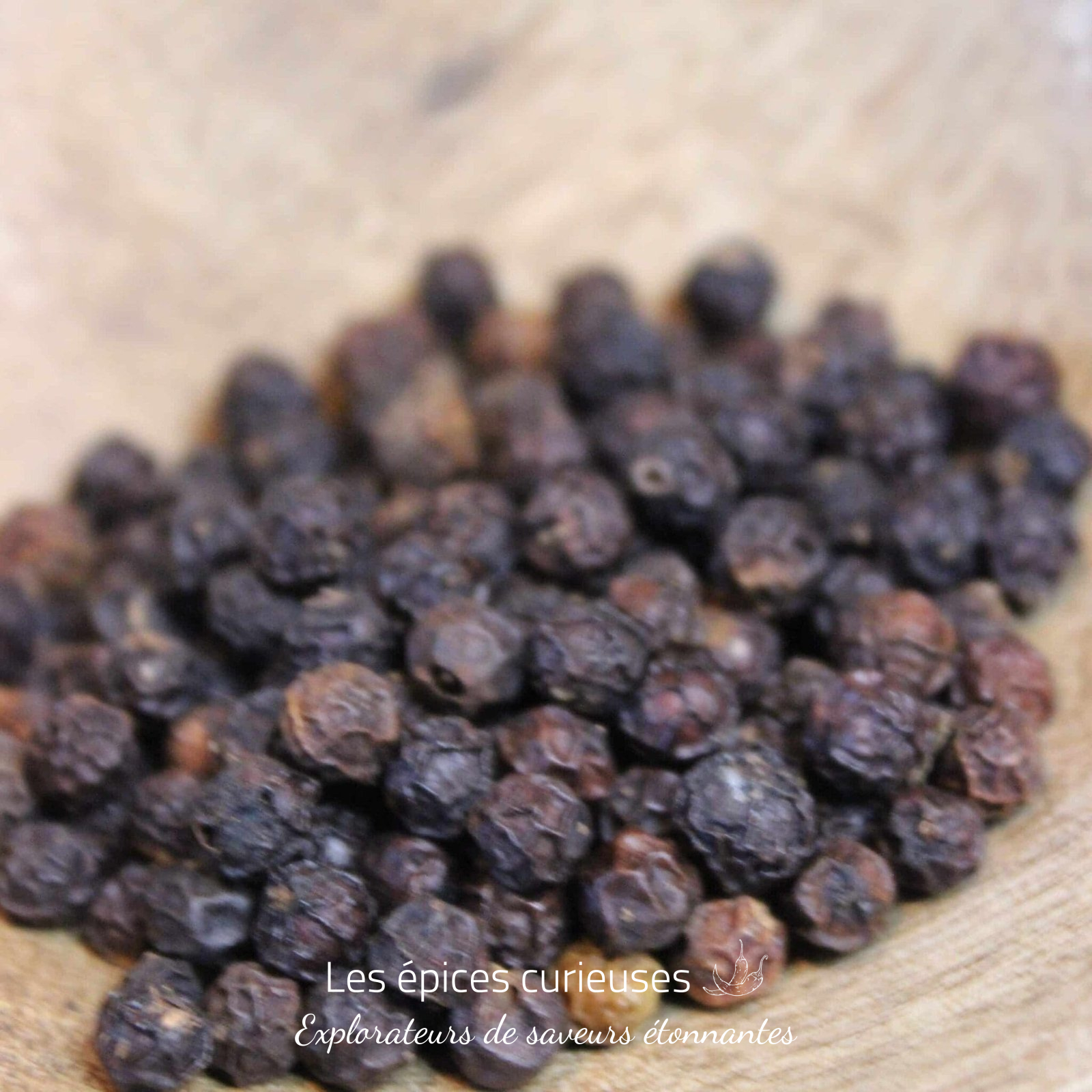 Poivre rouge des Bolovens – Les épices curieuses Poivre rouge des Bolovens - Les épices curieuses