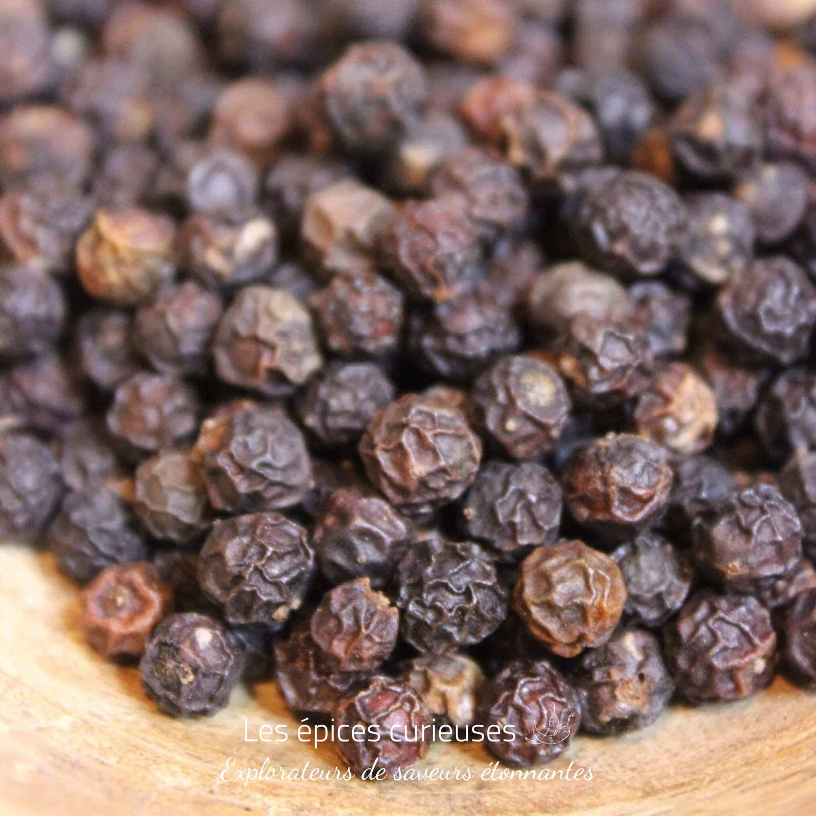 Poivre rouge des Bolovens – Les épices curieuses Poivre rouge des Bolovens - Les épices curieuses