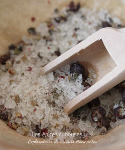 Sel gourmand de Noël - Les épices curieuses