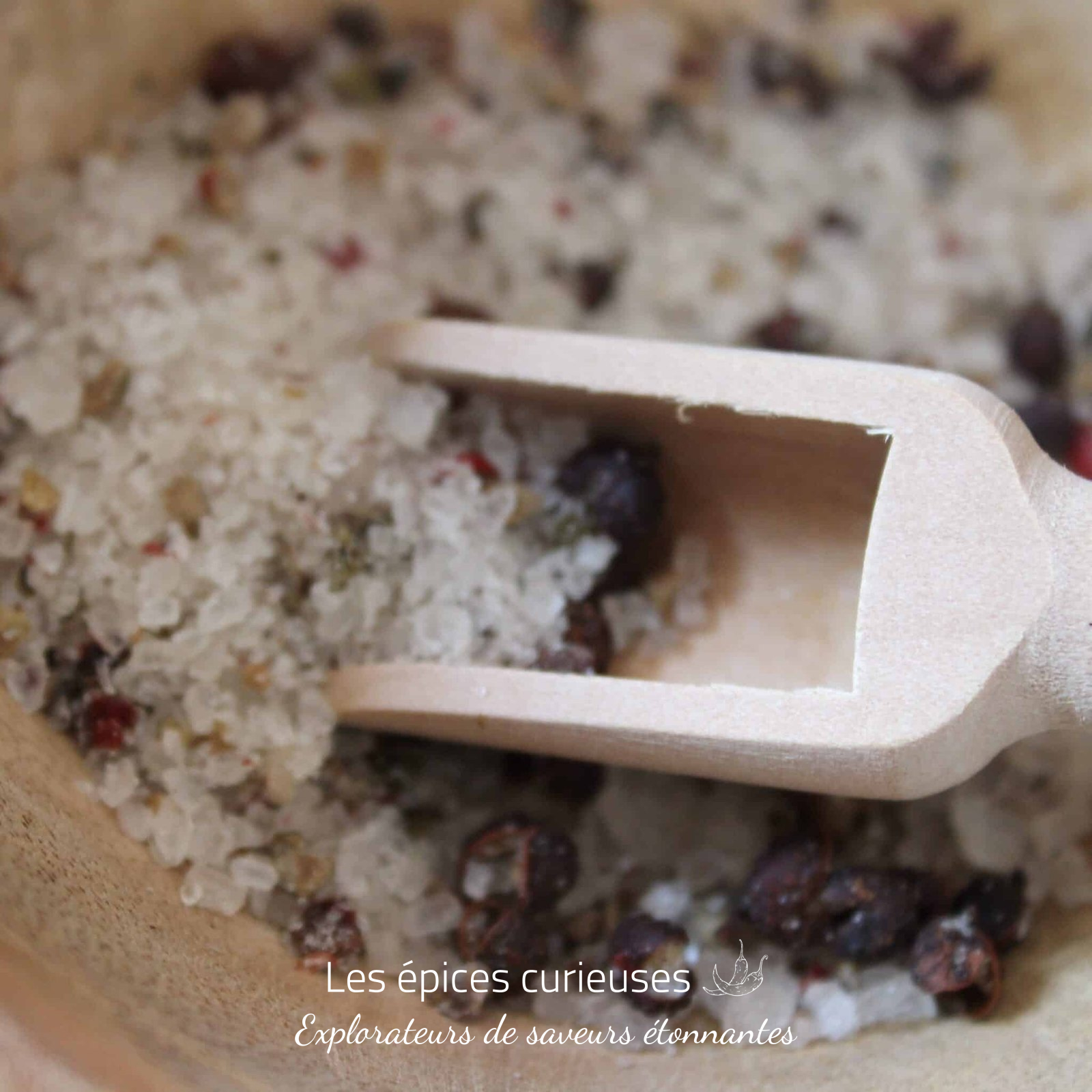 Sel de Noel – Les épices curieuses Sel de Noel - Les épices curieuses