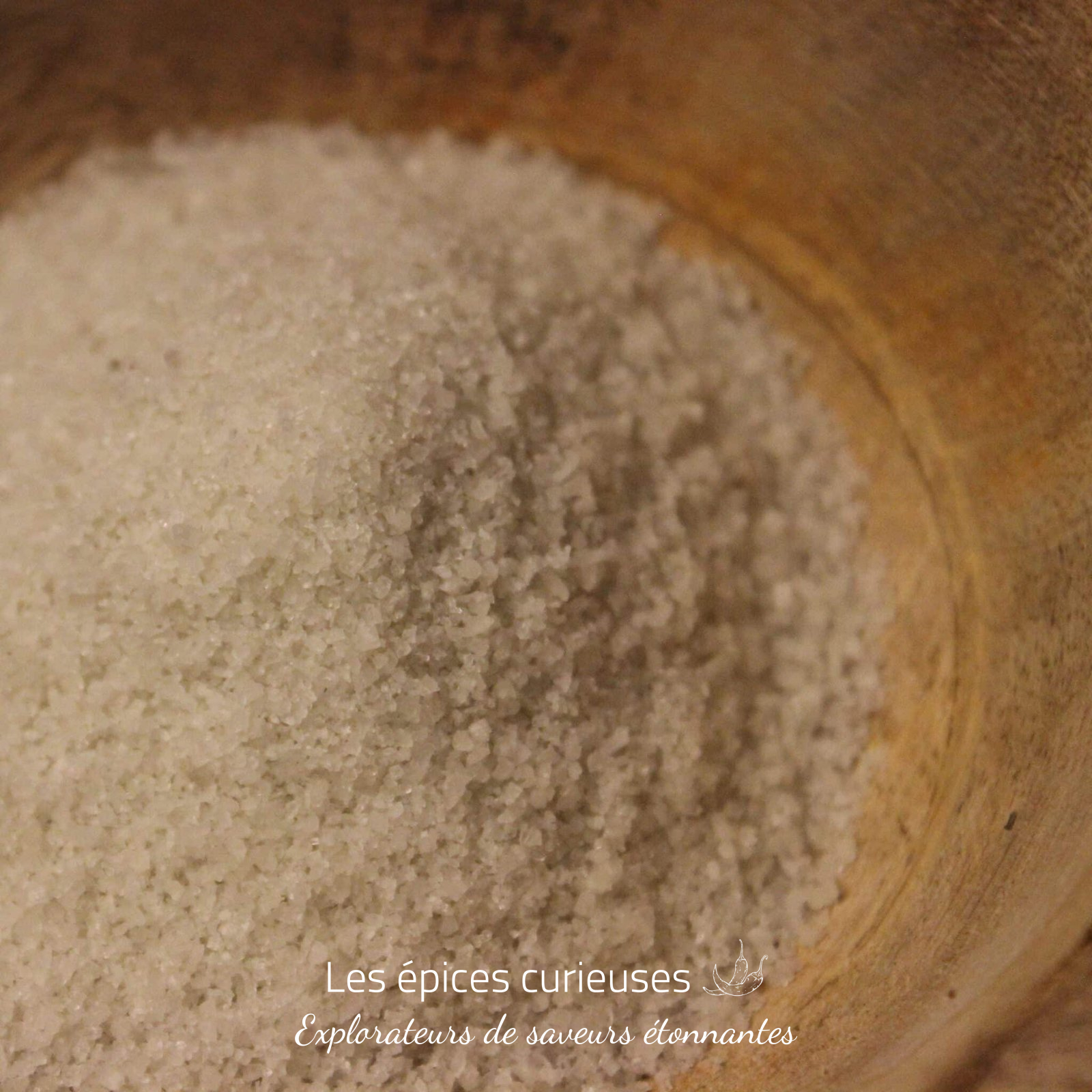 Sel fin de Guérande – Les épices curieuses Sel fin de Guérande - Les épices curieuses