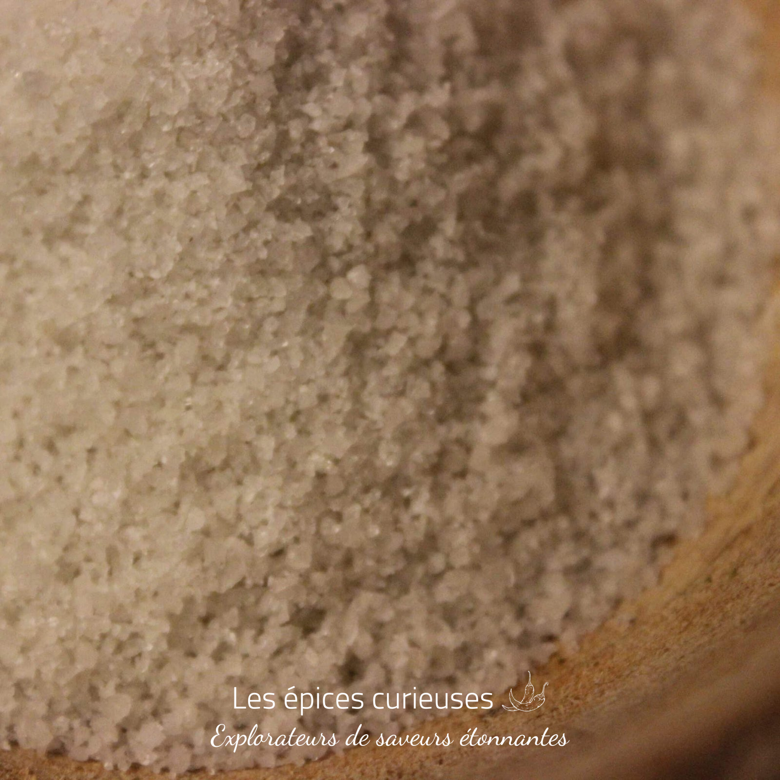 Sel fin de Guérande – Les épices curieuses Sel fin de Guérande - Les épices curieuses