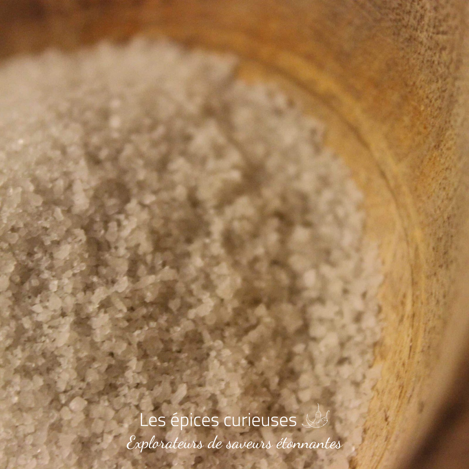 Sel fin de Guérande – Les épices curieuses Sel fin de Guérande - Les épices curieuses