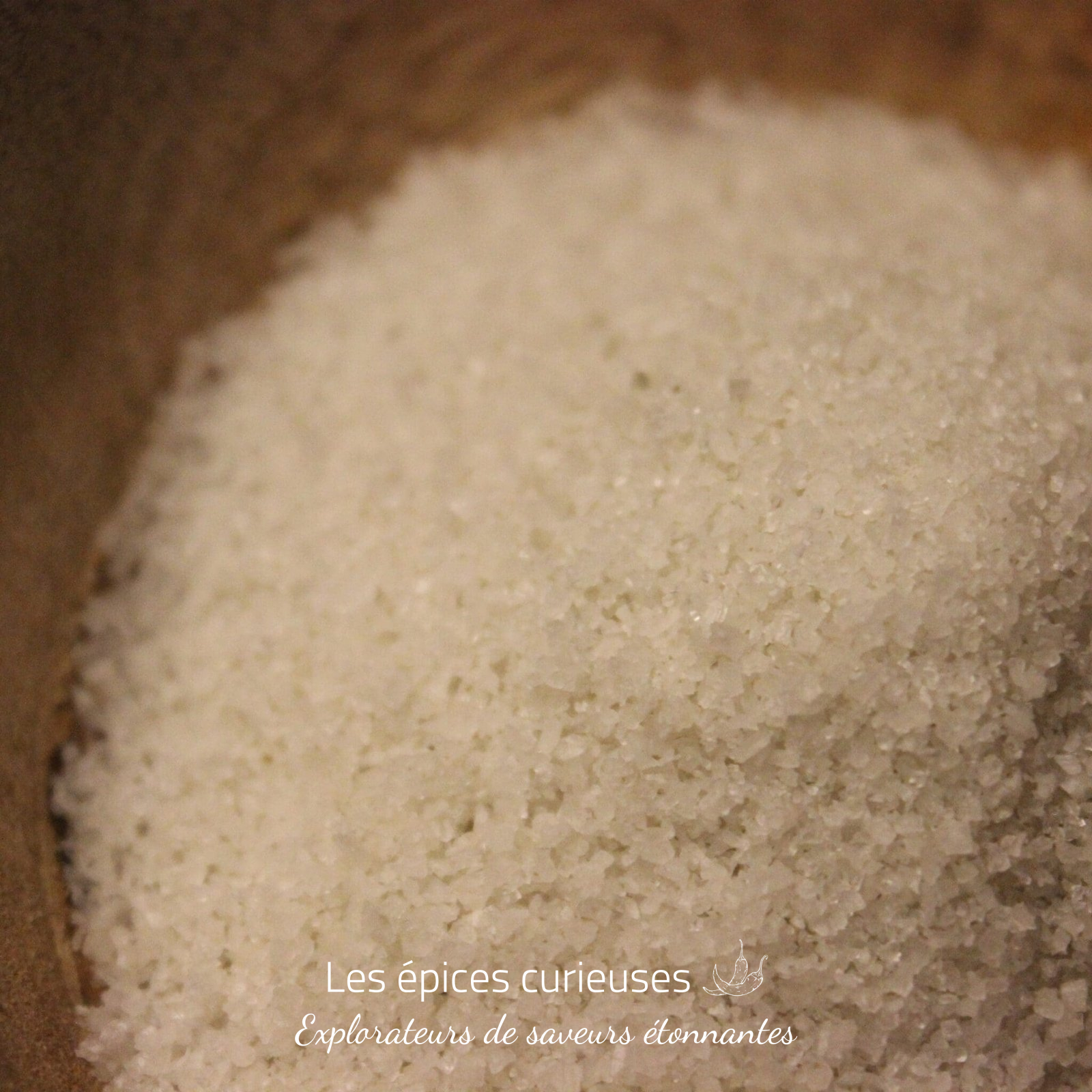 Sel fin de Guérande – Les épices curieuses Sel fin de Guérande - Les épices curieuses