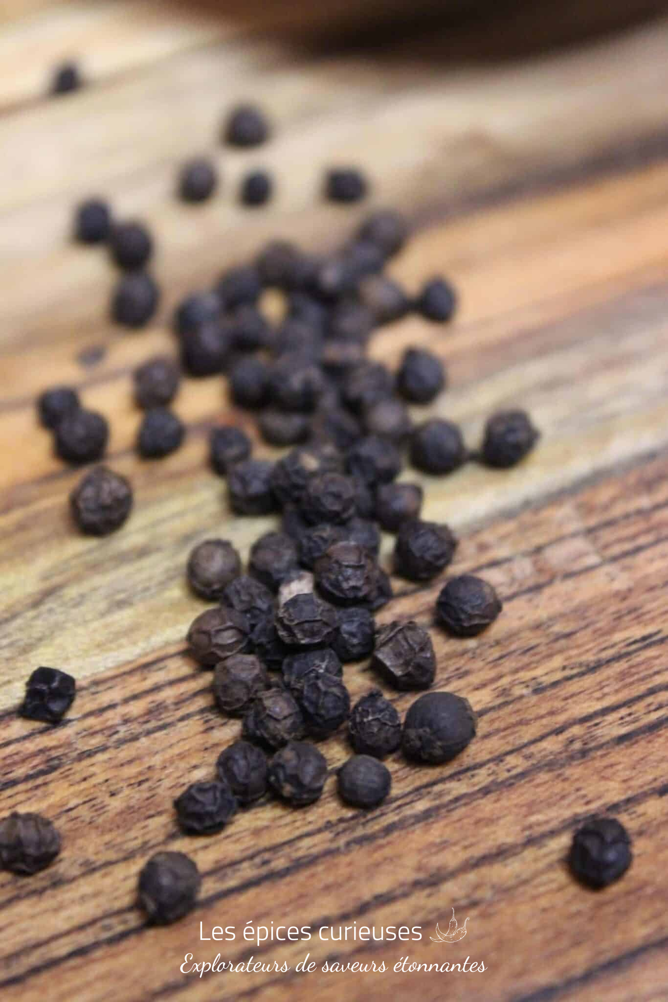 Poivre noir Sri Lanka – Les épices curieuses Poivre noir Sri Lanka - Les épices curieuses
