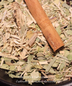 Mélange d'herbes médicinales avec bâton de cannelle pour infusion bien-être et santé.