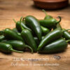 Jalapeño vert - Frais - Légèrement piquant - Les épices curieuses