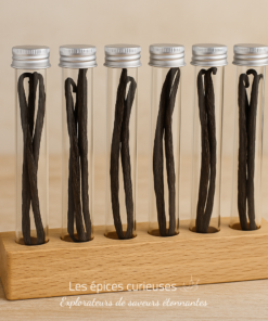 Gousses de vanille en tubes en verre, rangées sur un support en bois, sur fond neutre.