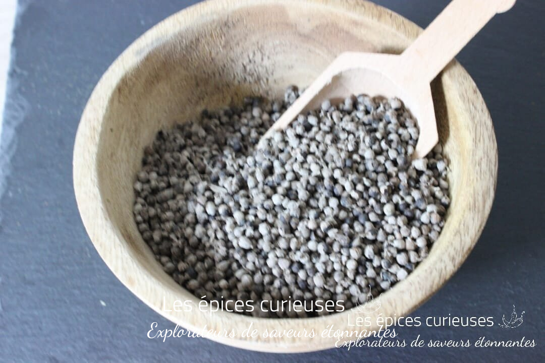 Poivre des moines – Baies de Gattilier – Les épices curieuses Poivre des moines - Baies de Gattilier - Les épices curieuses