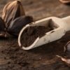 Ail noir en poudre - Les Épices Curieuses