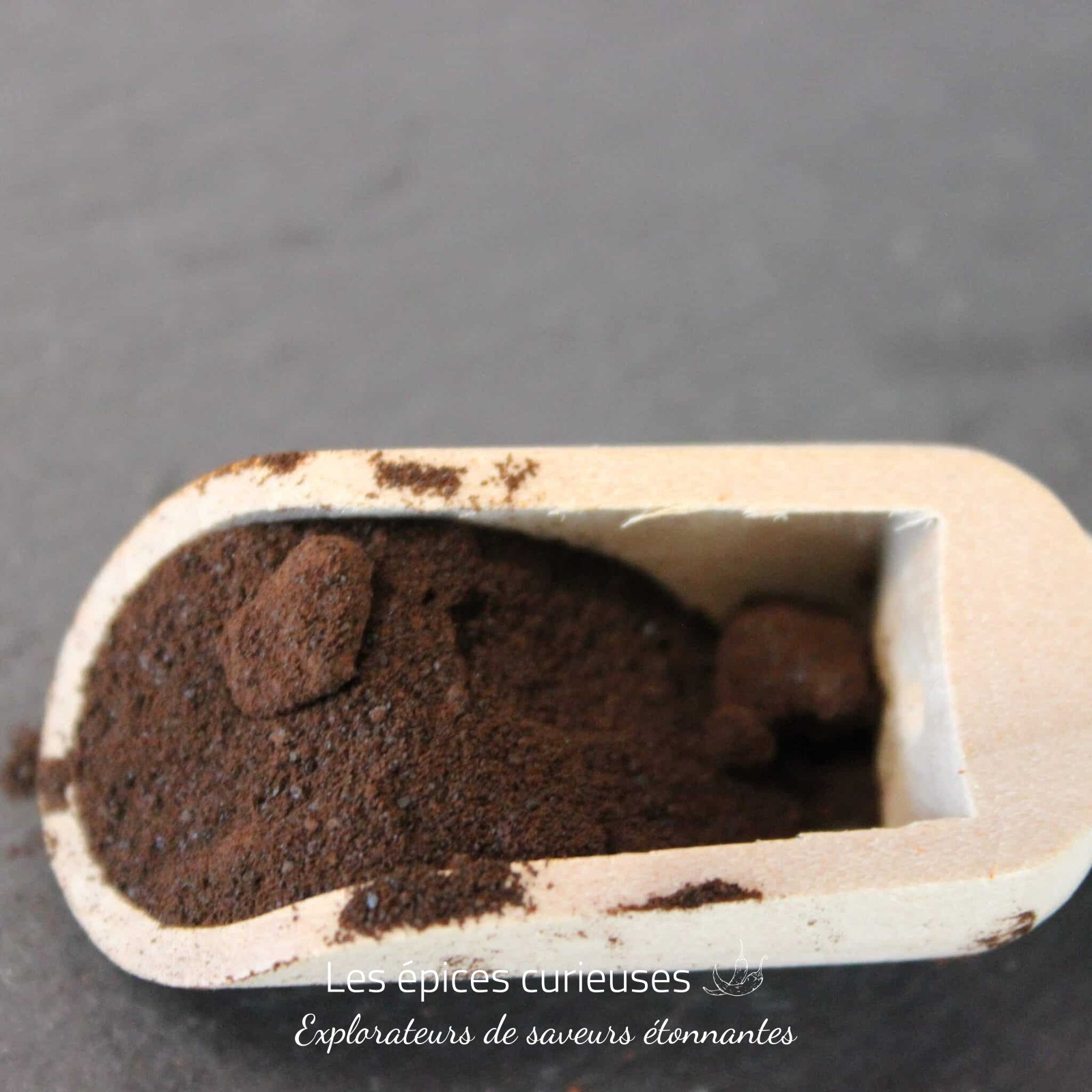 Ail noir en poudre – Les Épices Curieuses Ail noir en poudre - Les Épices Curieuses