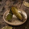 Bouquets garnis bio Thym et Laurier - Les Épices Curieuses