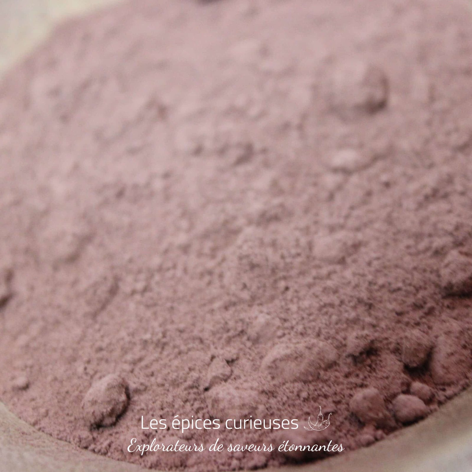 Cacao en poudre Criollo – Les Épices Curieuses Cacao en poudre Criollo - Les Épices Curieuses