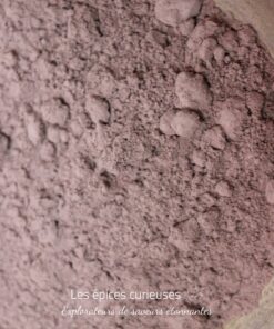 Cacao en poudre Criollo - Les Épices Curieuses