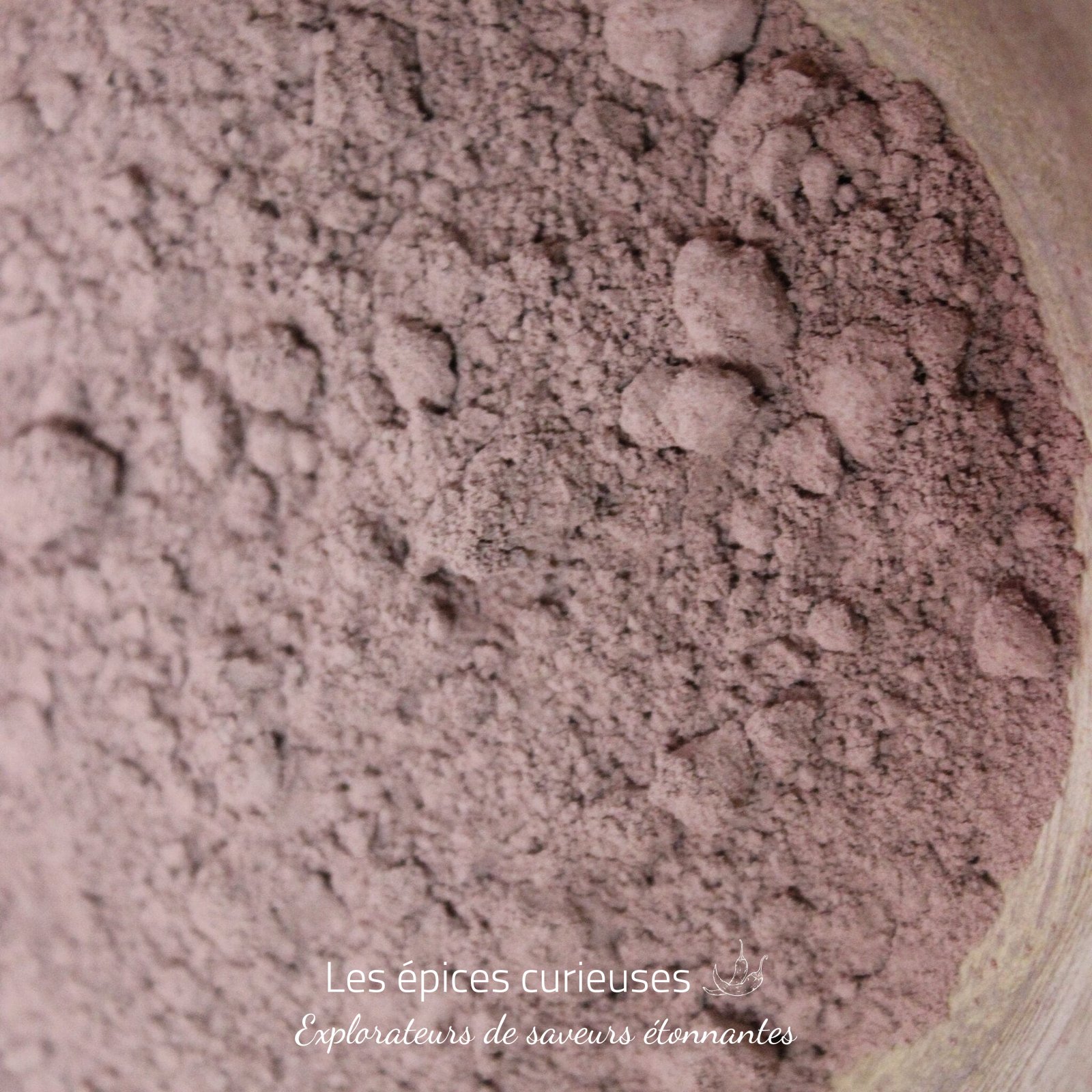 Cacao en poudre Criollo – Les Épices Curieuses Cacao en poudre Criollo - Les Épices Curieuses