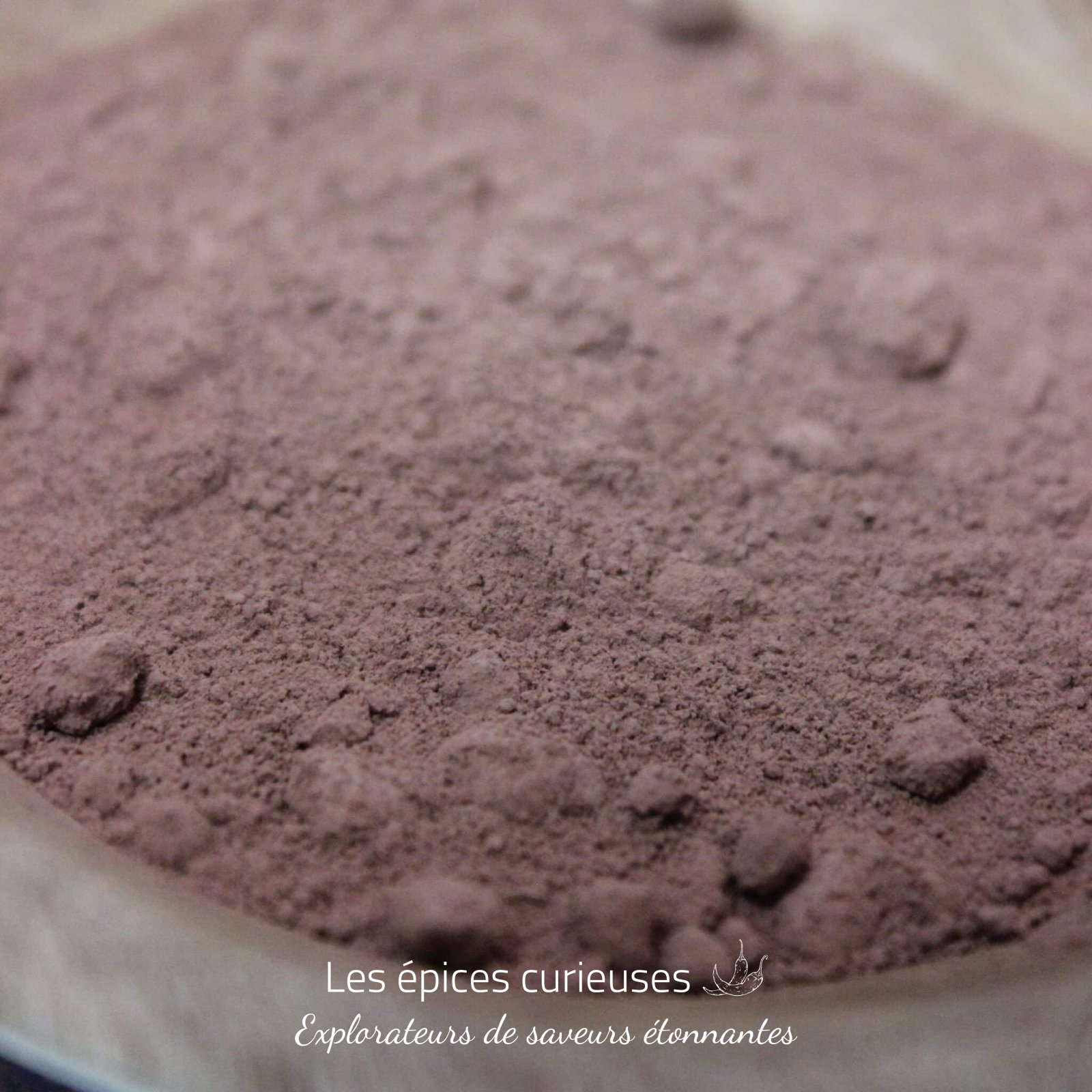Cacao en poudre Criollo – Les Épices Curieuses Cacao en poudre Criollo - Les Épices Curieuses