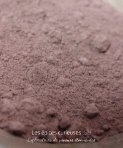 Cacao en poudre Criollo - Les Épices Curieuses